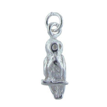 Load image into Gallery viewer, Sterling Silver, 6.5mm Width by 5.7mm Length by 19.2mm Height, Owl Charm. Quantity Per Pack: 2 Pieces.