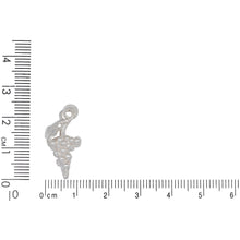 Load image into Gallery viewer, Sterling Silver, 11.8mm Width by 5.7mm Length by 23.7mm Height, Grapes Charm. Quantity Per Pack: 2 Pieces.