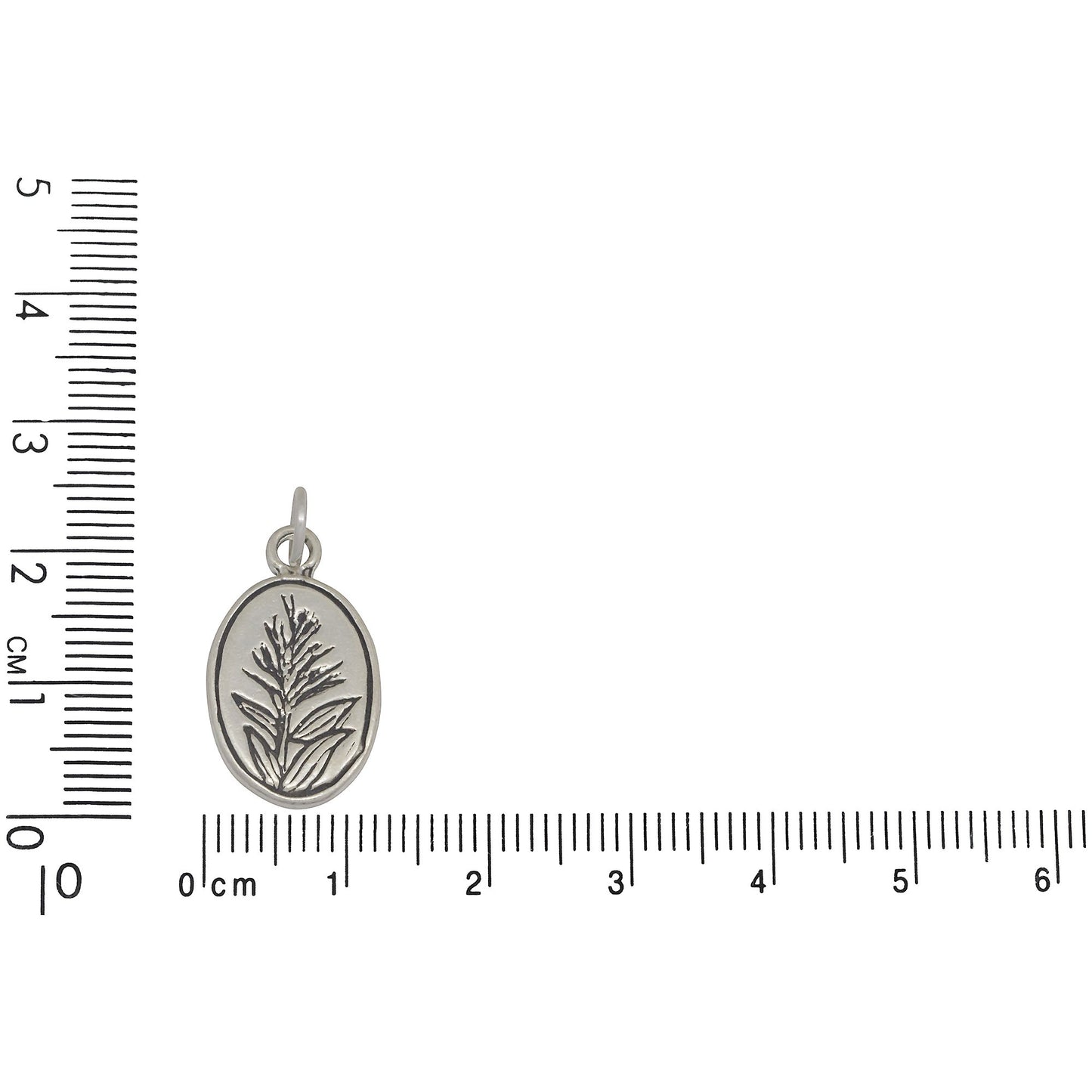 Sterling Silver, 12.5mm Width by 1.8mm Length by 21.0mm Height, Native Paint Brush Plant Charm. Quantity Per Pack: 1 Piece.