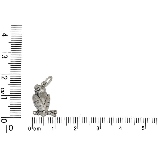 Sterling Silver, 10.9mm Width by 6.8mm Length by 16.6mm Height, Owl Charm. Quantity Per Pack: 1 Piece.