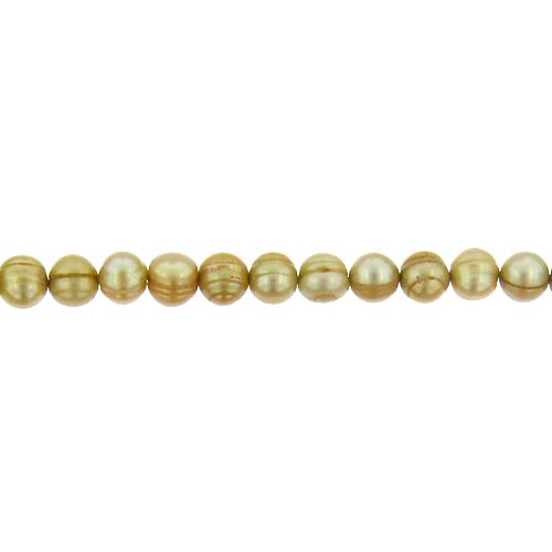 Gold, 7.0mm Width by 7.0mm Length by 7.0mm Height, Circled Pearl Bead. Quantity per pack: 78 Pieces.