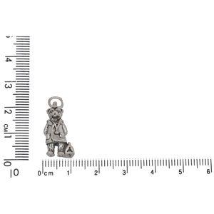 Sterling Silver, 10.3mm Width by 8.6mm Length by 21.5mm Height, Doctor Bear Charm. Quantity Per Pack: 1 Piece.