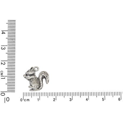 Sterling Silver, 16.3mm Width by 5.1mm Length by 15.5mm Height, Squirrel Charm. Quantity Per Pack: 1 Piece.